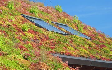 Libberton living roof systems
